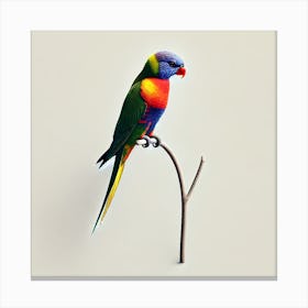 Lorikeet 1 Canvas Print