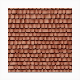 Tiled Roof 9 Canvas Print