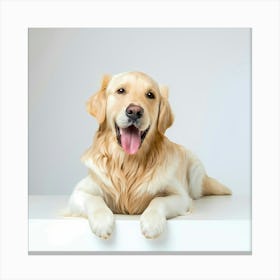 Golden Retriever Dog Canvas Print