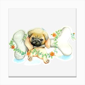 Pug Dog Bone Canvas Print