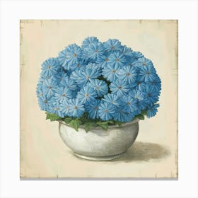 Blue Chrysanthemums Canvas Print