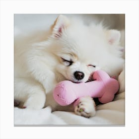 Dog Sleeping With Toy Canvas Print