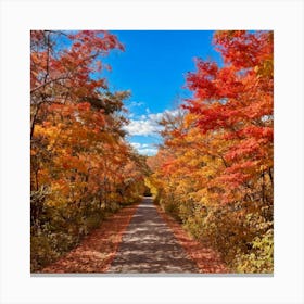 Autumn Trail Canvas Print