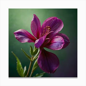 Purple Flower 1 Canvas Print