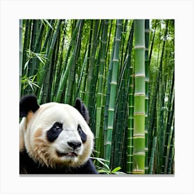 Panda Bear Bamboo Endangered China Wildlife Cute Furry Black White Endemic Conservation (2) Canvas Print