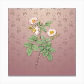 Vintage Short Styled Field Rose Botanical on Dusty Pink Pattern n.0087 Canvas Print