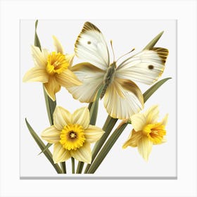 Daffodils And Butterfly 2 Canvas Print