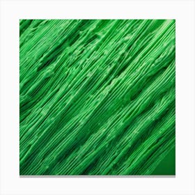 Green Background 5 Canvas Print