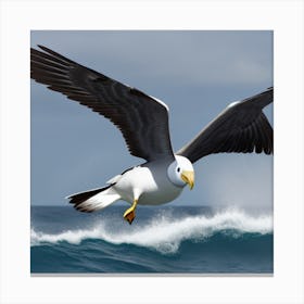 Seagull In Flight Canvas Print