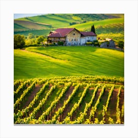 Vineyards In Tuscany 1 Canvas Print