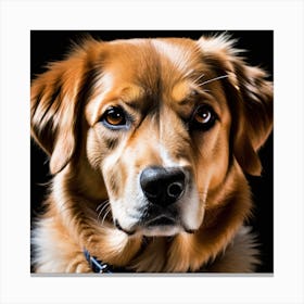 Golden Retriever Portrait 2 Canvas Print