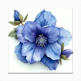 Blue Clematis Flower 1 Canvas Print