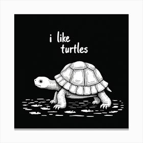 I Like Turtles Canvas Print