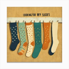 Looking For My Socks Canvas Print