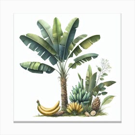 Banana palm 3 Canvas Print