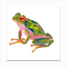 Red Eyed Tree Frog 05 Canvas Print