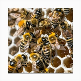 Bees On A Honeycomb 3 Canvas Print