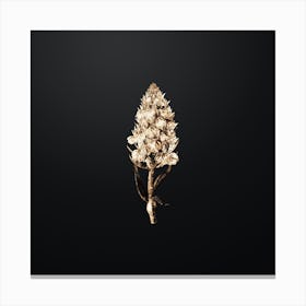 Gold Botanical Leafy Spiked Orchis Flower on Wrought Iron Black n.4100 Canvas Print