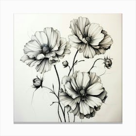 Black And White Flowers 7 Canvas Print