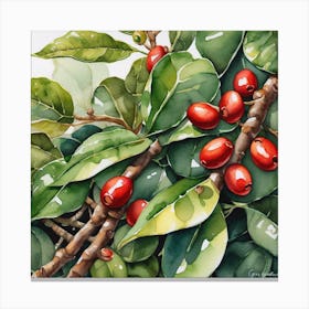 Coffee Berries 12 Canvas Print