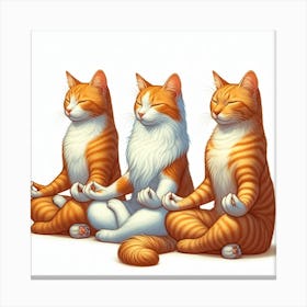 Three cats meditating 3 Canvas Print