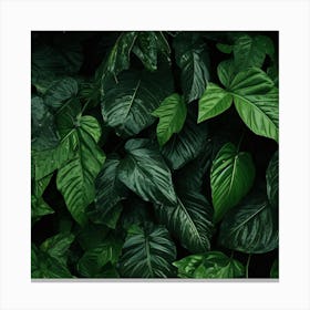 Tropical Leaves Background 5 Canvas Print