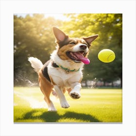Dog Playing With Tennis Ball Canvas Print