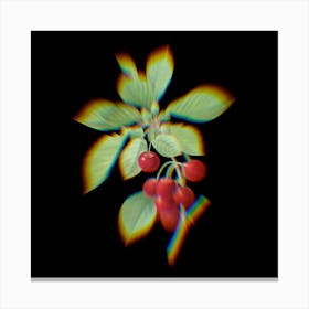 Prism Shift Cherry Botanical Illustration on Black n.0002 Canvas Print