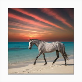 Horse On The Beach At Sunset 2 Canvas Print