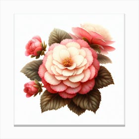 Flower of Begonia 3 Canvas Print
