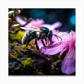 up close sky blue bee on a black rock in a mystical fairytale forest, mountain dew, fantasy, mystical forest, fairytale, beautiful, flower, purple pink and blue tones, dark yet enticing, Nikon Z8 3 Canvas Print