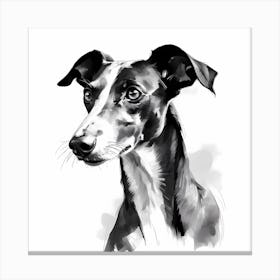 Black and White Greyhound drawing 1 Canvas Print