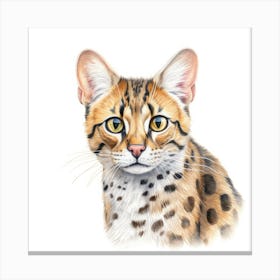 Asian Leopard Cat Portrait Canvas Print