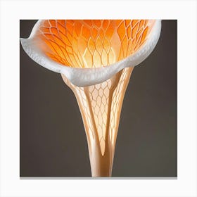 Calla Lily 1 Canvas Print