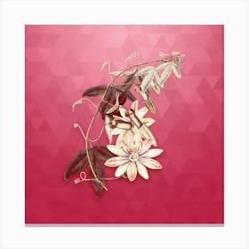 Vintage Mrs. Marryat's Tacsonia Botanical in Gold on Viva Magenta n.0430 Canvas Print