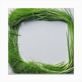 Frame Of Green Grass Canvas Print