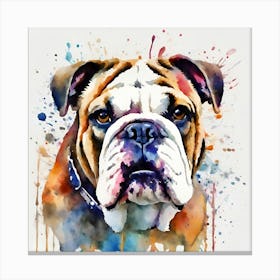 Bulldog Watercolor Painting, National Pet Day! Canvas Print
