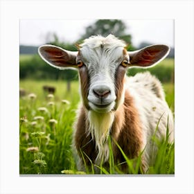 Grass National Breeding Head Ruminant Pasture Plant Cattle Day Country Standing Rural Be (5) Canvas Print