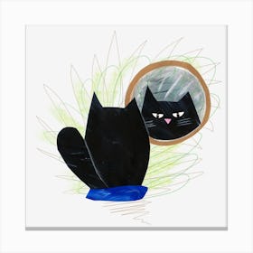 Black Cat In Mirror Canvas Print