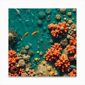 Coral Reef23 1 Canvas Print