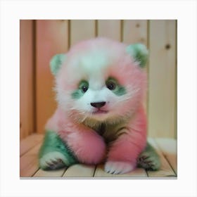 Tricolor Baby Panda Canvas Print