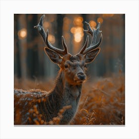 Deer In The Forest Canvas Print