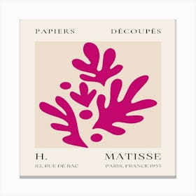 Matisse (20) Canvas Print