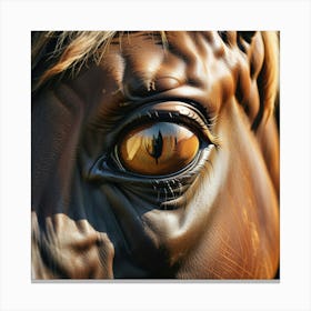 Eye Of A Horse 13 Canvas Print