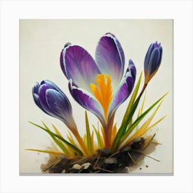 Crocuses 1 Canvas Print