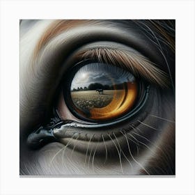 Eye Of A Horse 23 Canvas Print