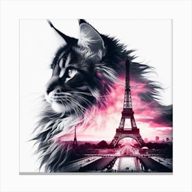 Maine Coon Сat silhouette 1 Canvas Print