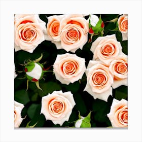 Roses Stock Videos & Royalty-Free Footage Canvas Print