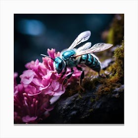 up close sky blue bee on a black rock in a mystical fairytale forest, mountain dew, fantasy, mystical forest, fairytale, beautiful, flower, purple pink and blue tones, dark yet enticing, Nikon Z8 1 Canvas Print