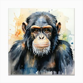 Chimpanzee 3 Canvas Print